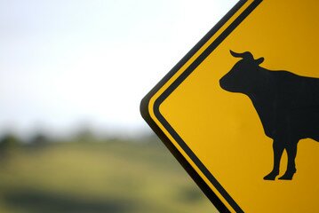 Cow’s Crossing: A Monologue